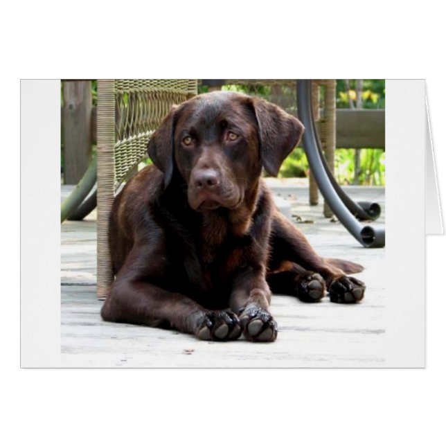 Chocolade Lab (Voorkant Horizontaal)