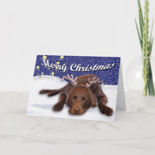 Chocolade Lab Antlers Foto Aangepaste tekst binnen Feestdagen Kaart