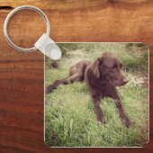 Chocolade Lab dat in grasfoto's ligt Sleutelhanger (Voorkant)