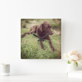 Chocolade Lab dat in grasfoto's ligt Vierkante Klok (Huis)