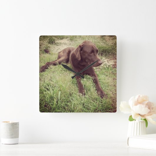 Chocolade Lab dat in grasfoto's ligt Vierkante Klok (Huis)