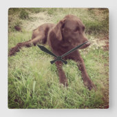 Chocolade Lab dat in grasfoto's ligt Vierkante Klok (Voorkant)