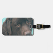 Chocolade Lab Dog Bagagelabel (Voorkant horizontaal)