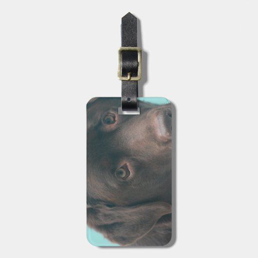 Chocolade Lab Dog Bagagelabel (Voorkant verticaal)