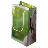 Chocolade Lab Dog Klein Cadeauzakje (Achterkant Gekanteld)