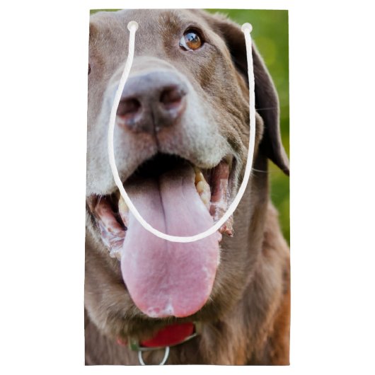 Chocolade Lab Dog Klein Cadeauzakje (Voorkant)