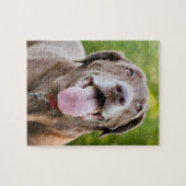Chocolade Lab Dog Legpuzzel (Horizontaal)