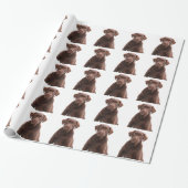 Chocolade Lab Dog Puppy Photo Pet Labrador Retriev Cadeaupapier (Uitgerold)