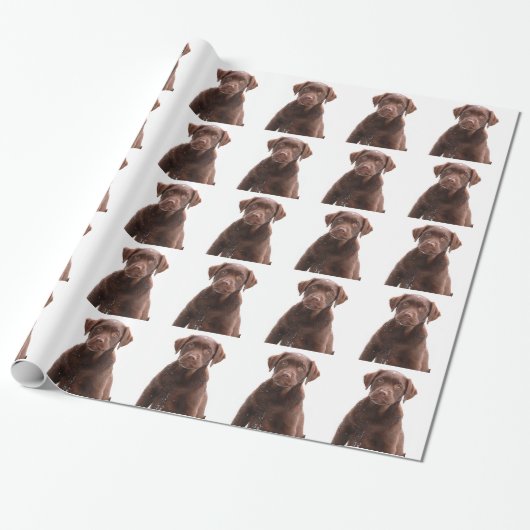 Chocolade Lab Dog Puppy Photo Pet Labrador Retriev Cadeaupapier (Uitgerold)