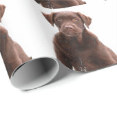 Chocolade Lab Dog Puppy Photo Pet Labrador Retriev Cadeaupapier (Rol Hoek)