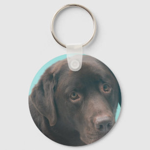 Chocolade Lab Dog Sleutelhanger