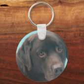 Chocolade Lab Dog Sleutelhanger (Voorkant)