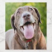 Chocolade Lab Dog Wijn Etiket (Enkel label)