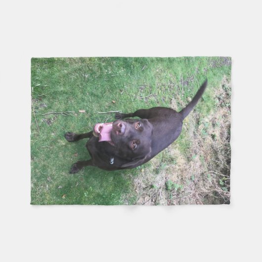 Chocolade Lab Fleece (Voorkant (Horizontaal))