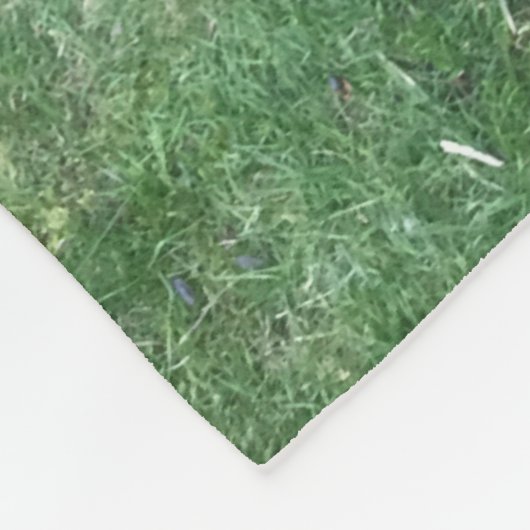 Chocolade Lab Fleece Deken (Hoek)