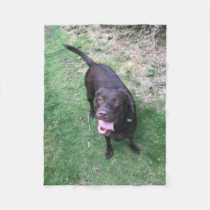 Chocolade Lab Fleece Deken
