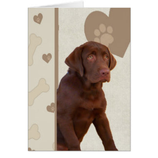 Chocolade Lab heeft hart