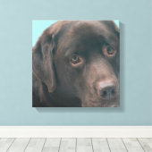 Chocolade Lab Hond Canvas Print (Insitu (Houten vloer))