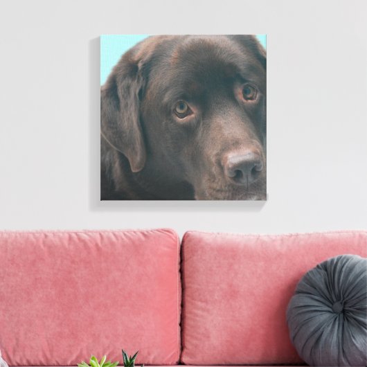Chocolade Lab Hond Canvas Print (Insitu (Woonkamer))