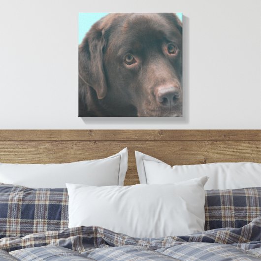 Chocolade Lab Hond Canvas Print (Insitu (Slaapkamer))