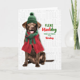 Chocolade Lab Hond Grappige Vlooien Navidog met Na Feestdagen Kaart