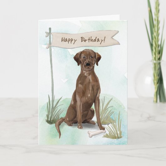 Chocolade Lab hond onder verjaardag bordje Kaart (Voorkant)