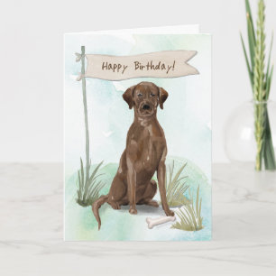 Chocolade Lab hond onder verjaardag bordje Kaart