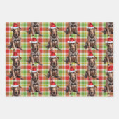Chocolade Lab Hond Rood en Groen Geplaagd Kerstmis Inpakpapier Vel (Voorkant 2)