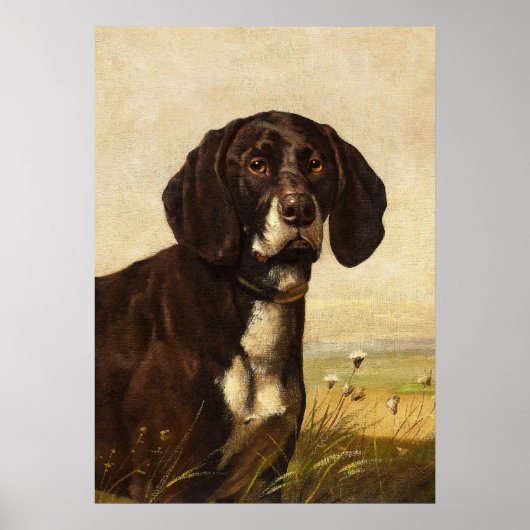 Chocolade lab hond, vintage poster (Voorkant)