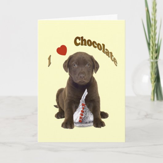 Chocolade Lab - Ik hou van Chocolade Kussen Kaart (Voorkant)