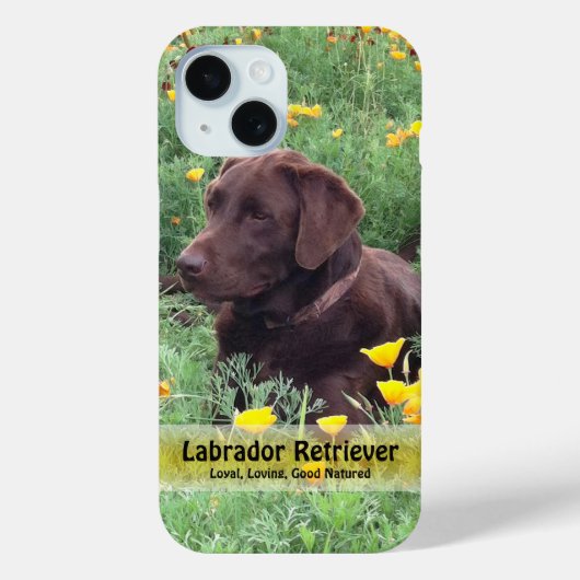 Chocolade Lab in California Poppy Patch Case-Mate iPhone Case (Achterkant)