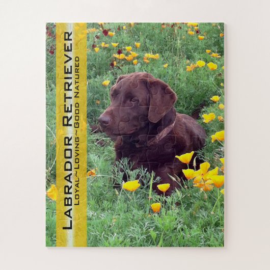 Chocolade Lab in California Poppy Patch Custom Legpuzzel (Verticaal)