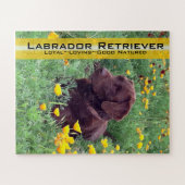 Chocolade Lab in California Poppy Patch Custom Legpuzzel (Horizontaal)