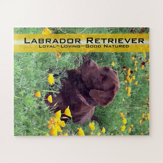 Chocolade Lab in California Poppy Patch Custom Legpuzzel (Horizontaal)