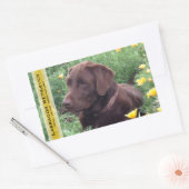 Chocolade Lab in California Poppy Patch Custom Rechthoekige Sticker (Envelop)