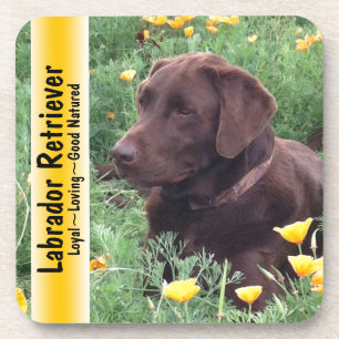 Chocolade Lab in California Poppy Patch Drankjes Onderzetter