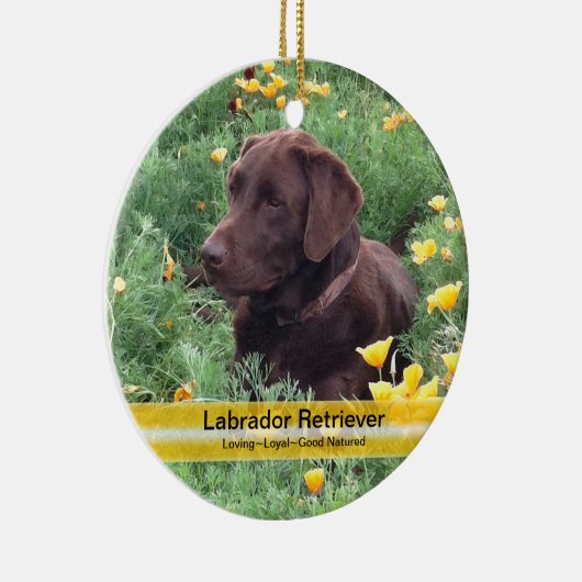 Chocolade Lab in California Poppy Patch Keramisch Ornament (Rechts)