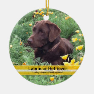 Chocolade Lab in California Poppy Patch Keramisch Ornament