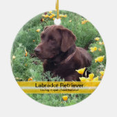 Chocolade Lab in California Poppy Patch Keramisch Ornament (Achterkant)
