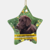 Chocolade Lab in California Poppy Patch Keramisch Ornament (Rechts)