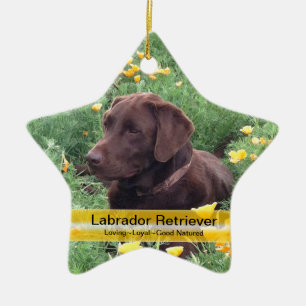 Chocolade Lab in California Poppy Patch Keramisch Ornament