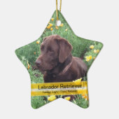 Chocolade Lab in California Poppy Patch Keramisch Ornament (Links)