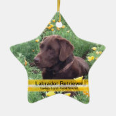 Chocolade Lab in California Poppy Patch Keramisch Ornament (Achterkant)