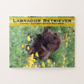 Chocolade Lab in California Poppy Patch Legpuzzel (Horizontaal)