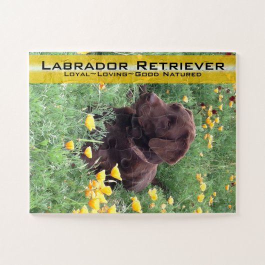 Chocolade Lab in California Poppy Patch Legpuzzel (Horizontaal)