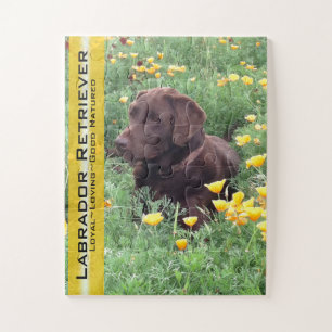Chocolade Lab in California Poppy Patch Legpuzzel