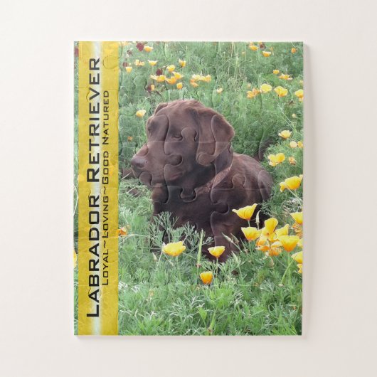 Chocolade Lab in California Poppy Patch Legpuzzel (Verticaal)