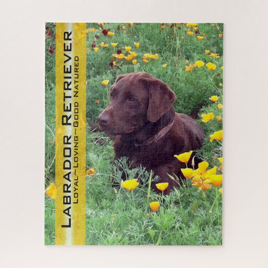 Chocolade Lab in California Poppy Patch Legpuzzel (Verticaal)