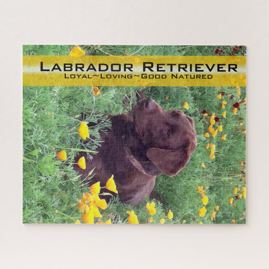 Chocolade Lab in California Poppy Patch Legpuzzel (Horizontaal)