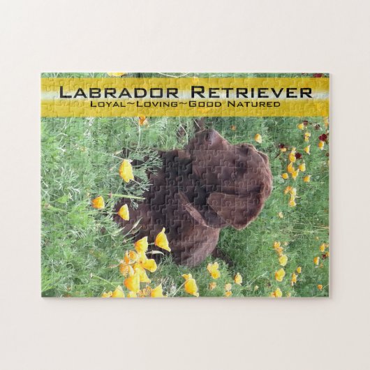 Chocolade Lab in California Poppy Patch Legpuzzel (Horizontaal)